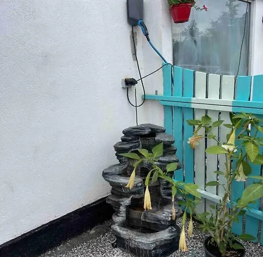 Snoghoj,self Check In,read Listing *